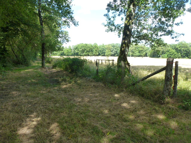 Chemin du muguet aux forges, Mailhac-sur-Benaize - photo 2