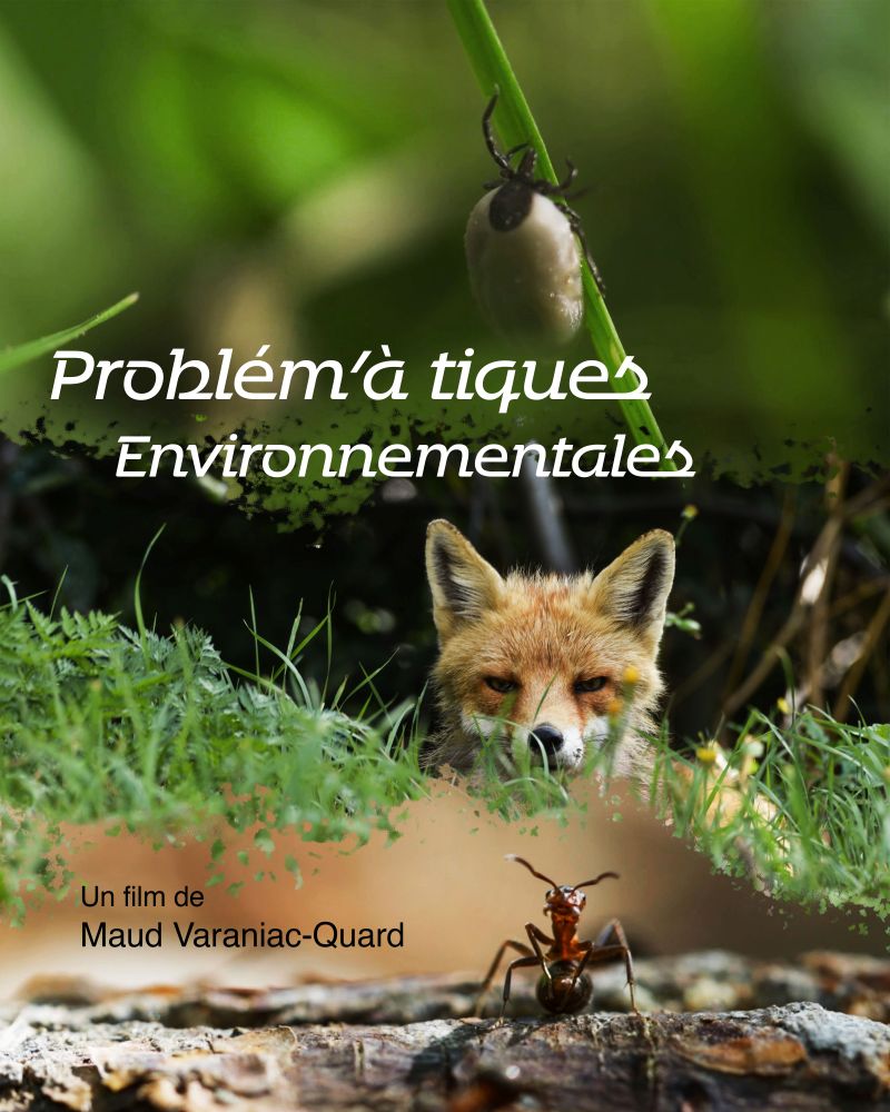 Visuel évènement