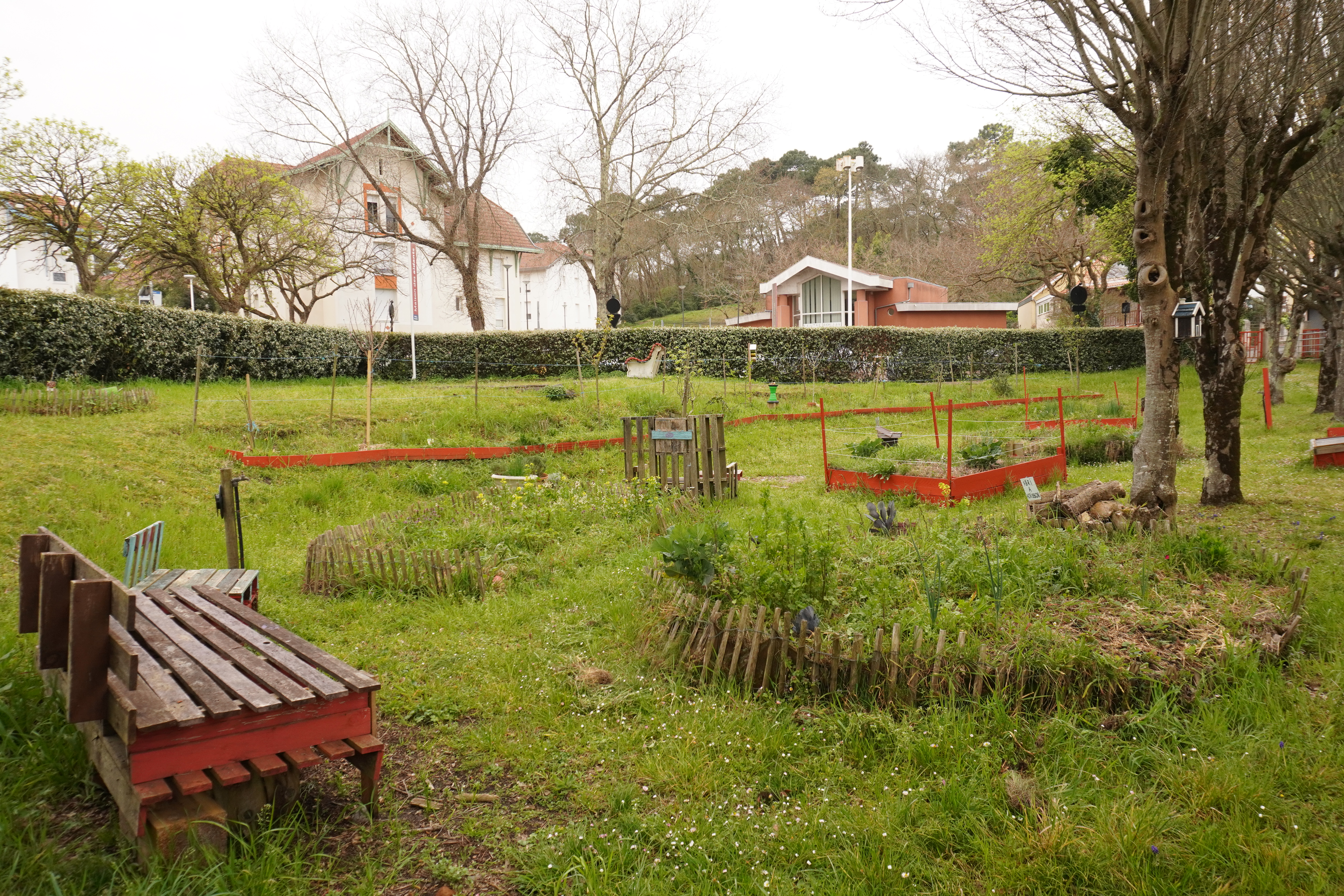 Atelier Jardin Partagé des 4 saisons