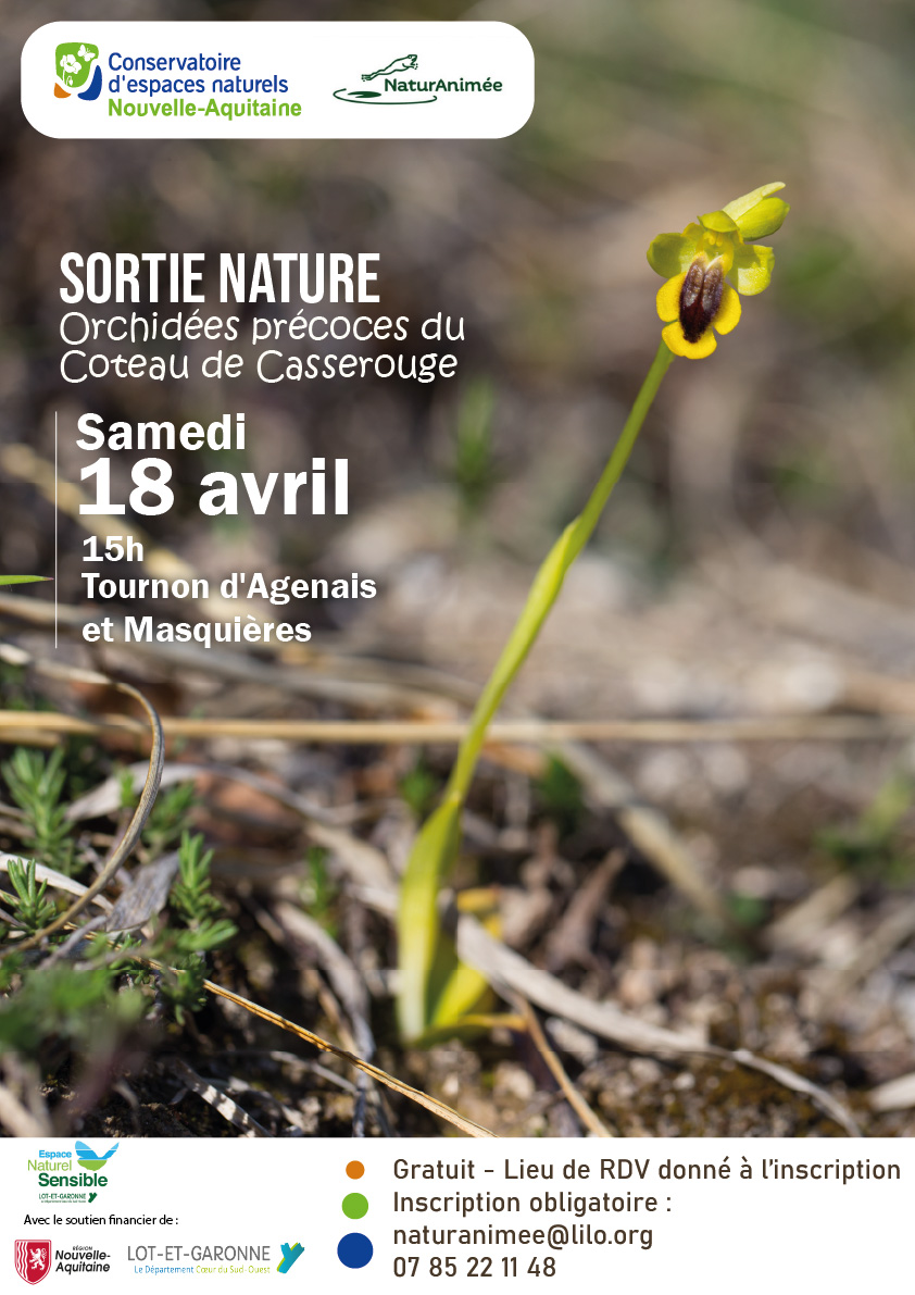 Orchidées précoces du Coteau de Casserouge — visuel événement