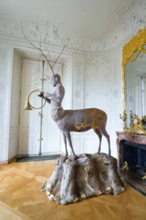 Exposition "L'hiver aux oiseaux" - Julien Salaud