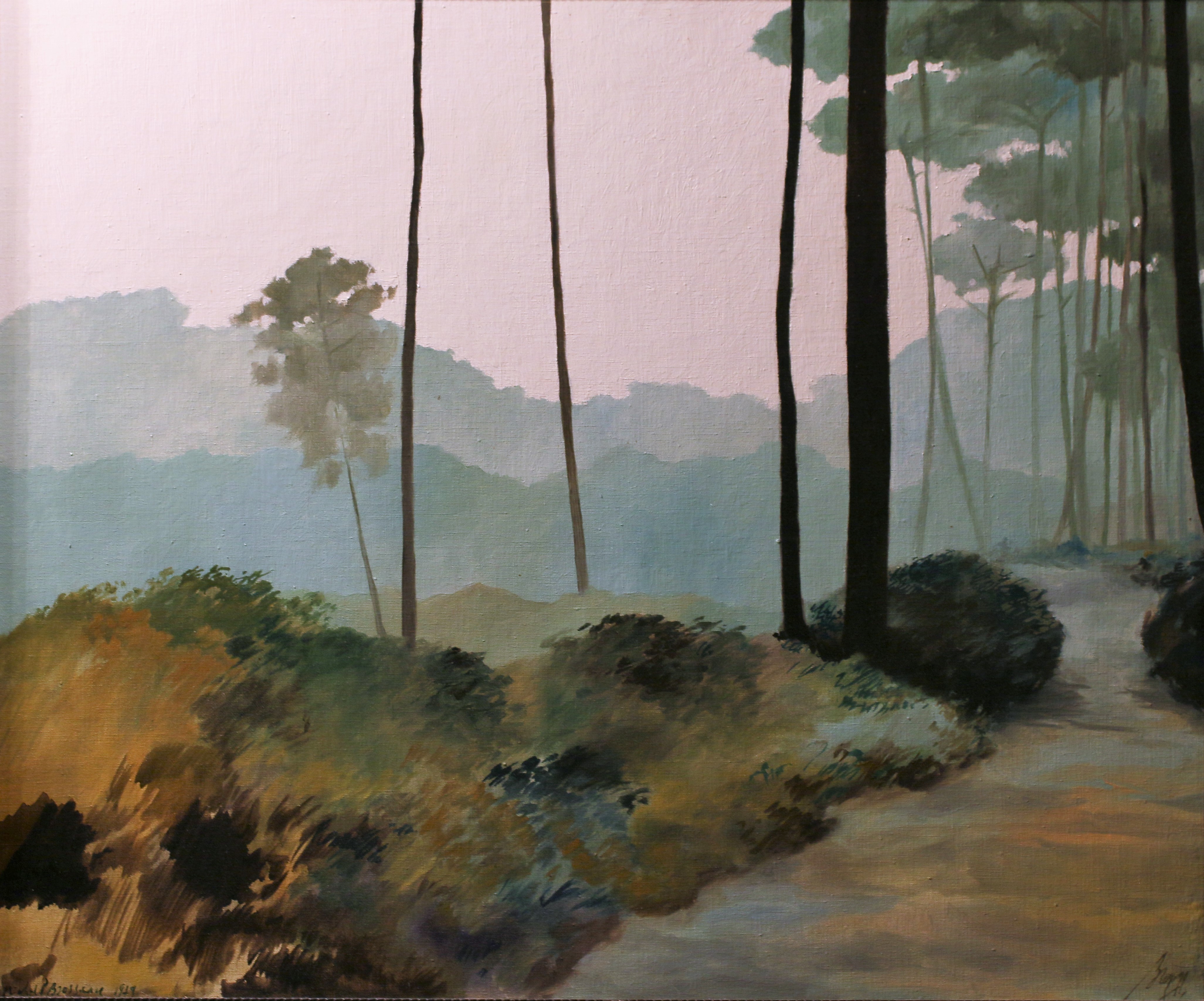 Conservatoire des Landes de Gascogne, Sanguinet - photo 4