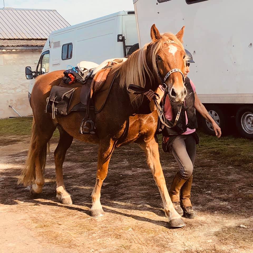 Les Loustiks du Vivier