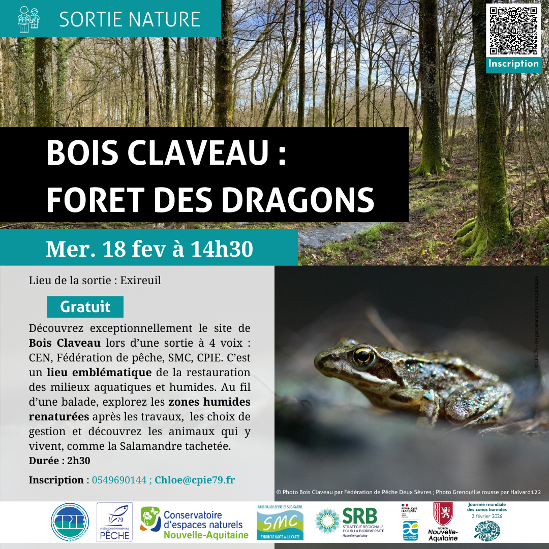 ANIMATION NATURE : « Bois Claveau : Forêt des dragons »