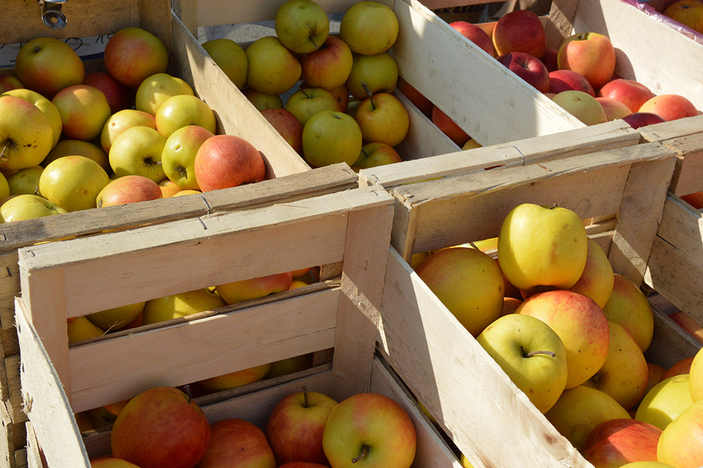 Les fruits des Vergers du Bois Basset — photo 2