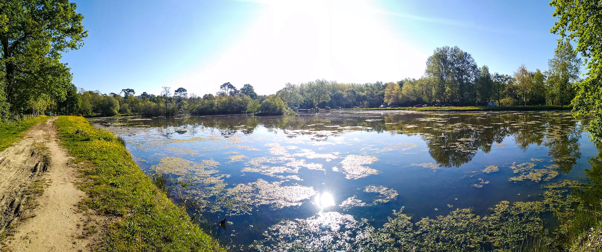 Etangs de la Gravière - photo 3