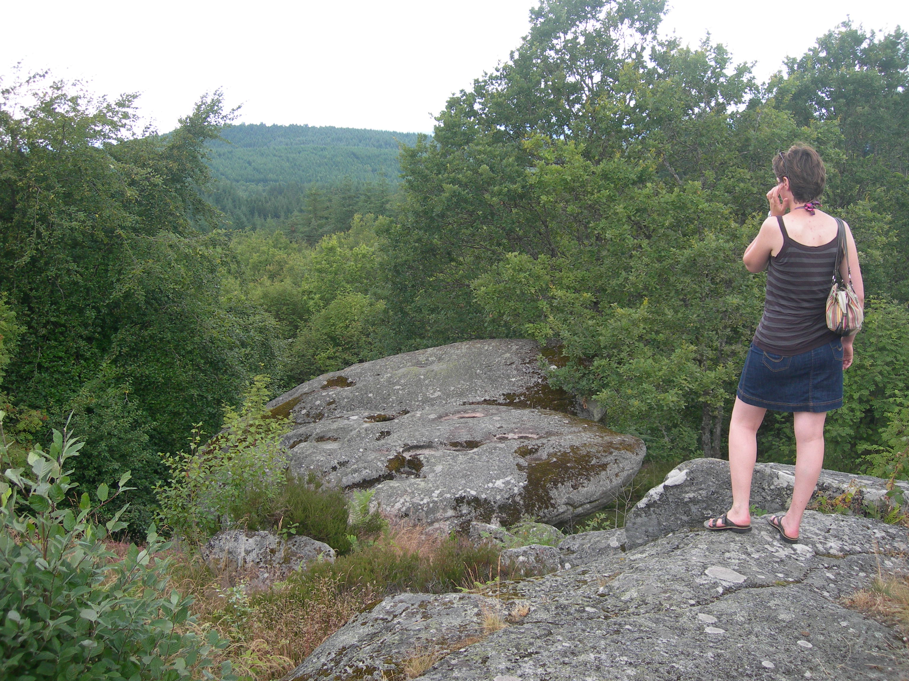 Roches Brunagères, Peyrat-le-Château - photo 2