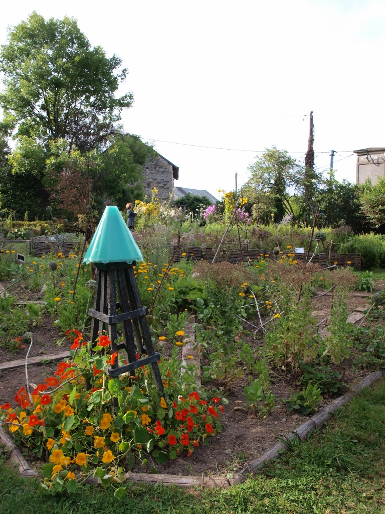 Cité des Insectes : le jardin, Nedde