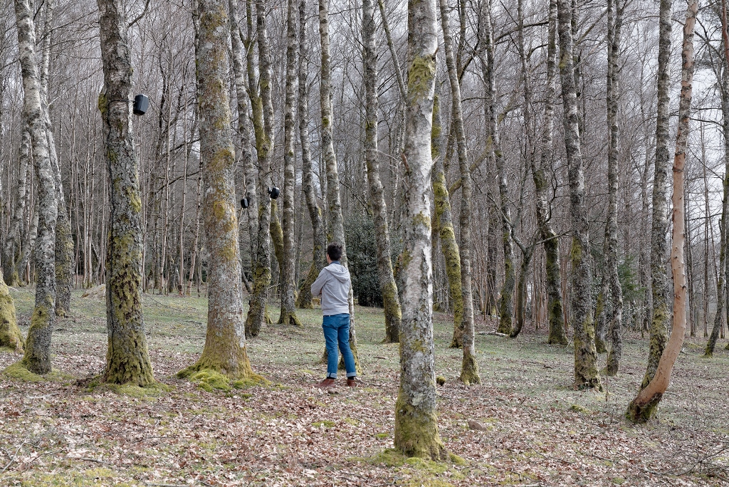 Bois de sculptures de l'Ile de Vassivière