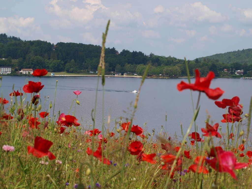 Ile de Vassivière - photo 2