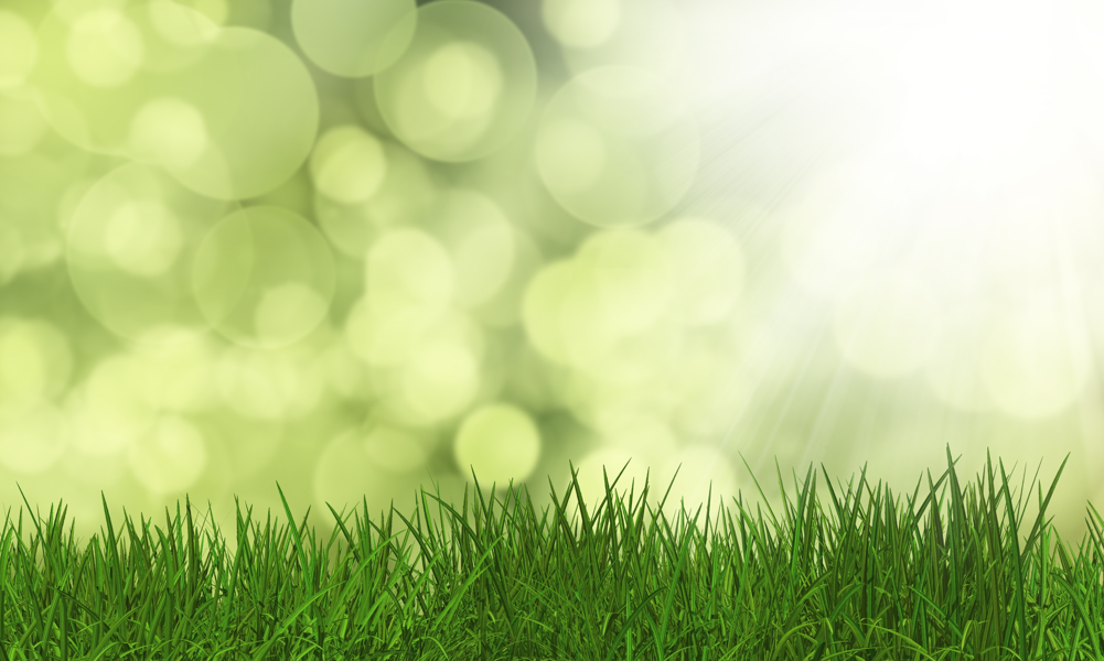 Tourbière des Ribières de Gladière