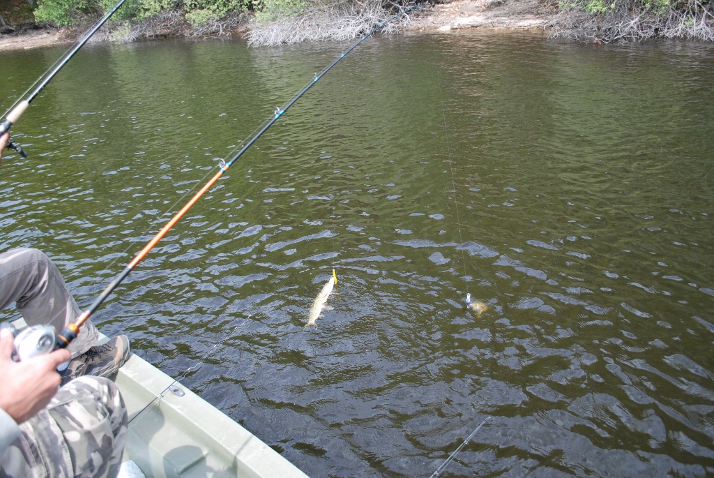 La Pêche à Vassivière