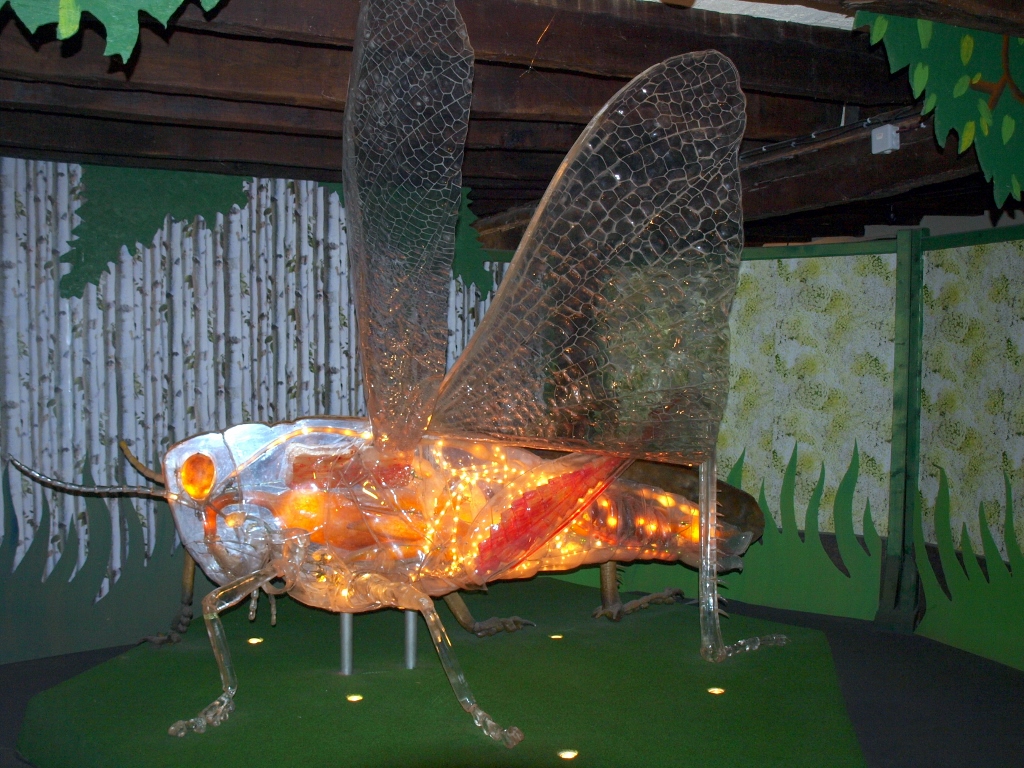 Cité des Insectes : Musée & Parc nature, Nedde - photo 4