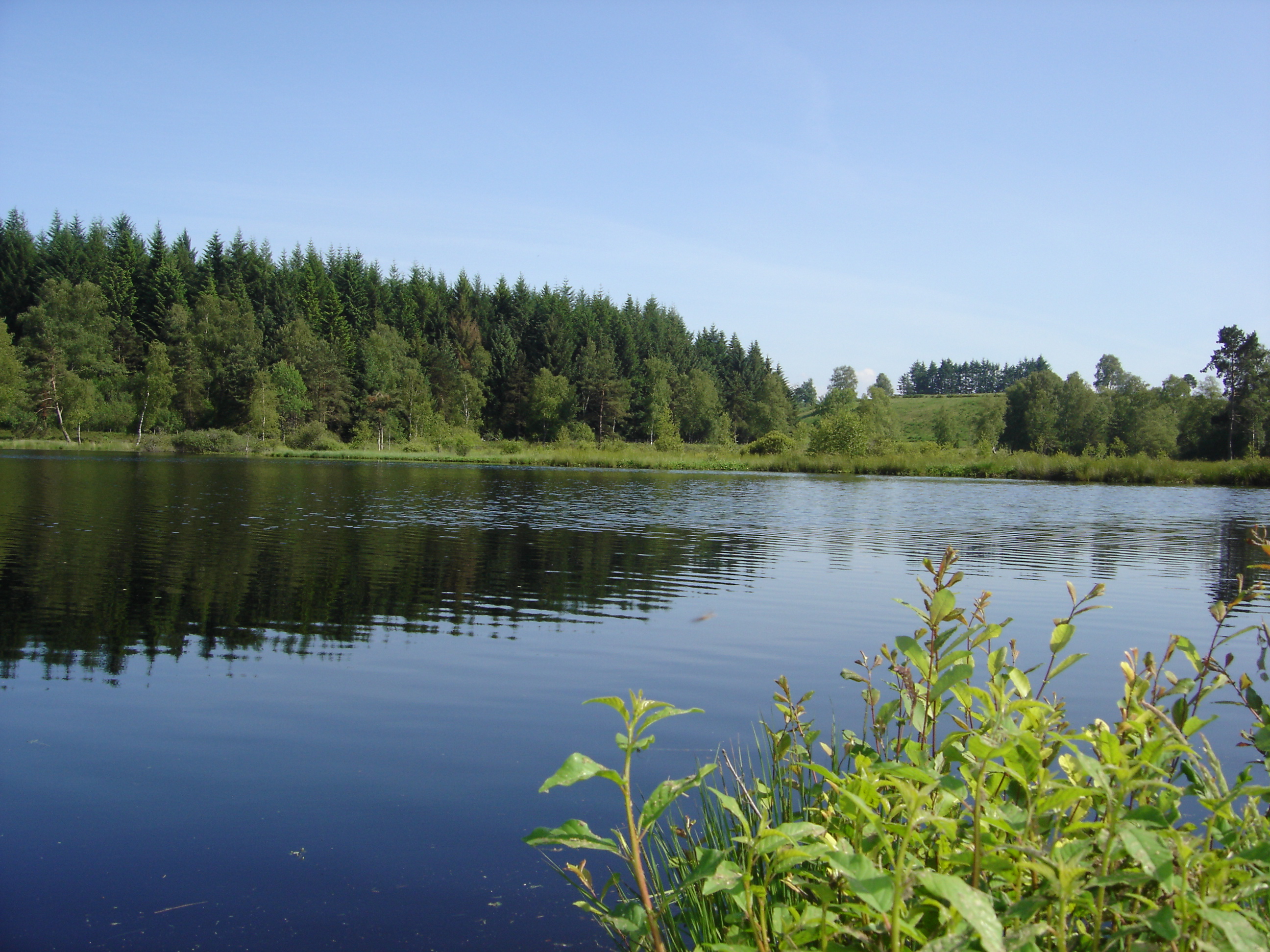 Lac de Faux la Montagne - Carpe de nuit, Faux-la-Montagne