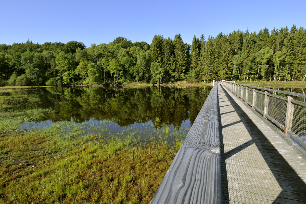 Tour du lac de Vassivière, "Sentier de rives"
