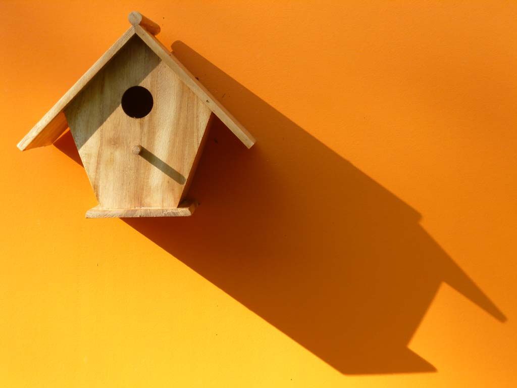 Roulotte de la Ferme des Anes de Vassivière, Peyrat-le-Château - photo 6