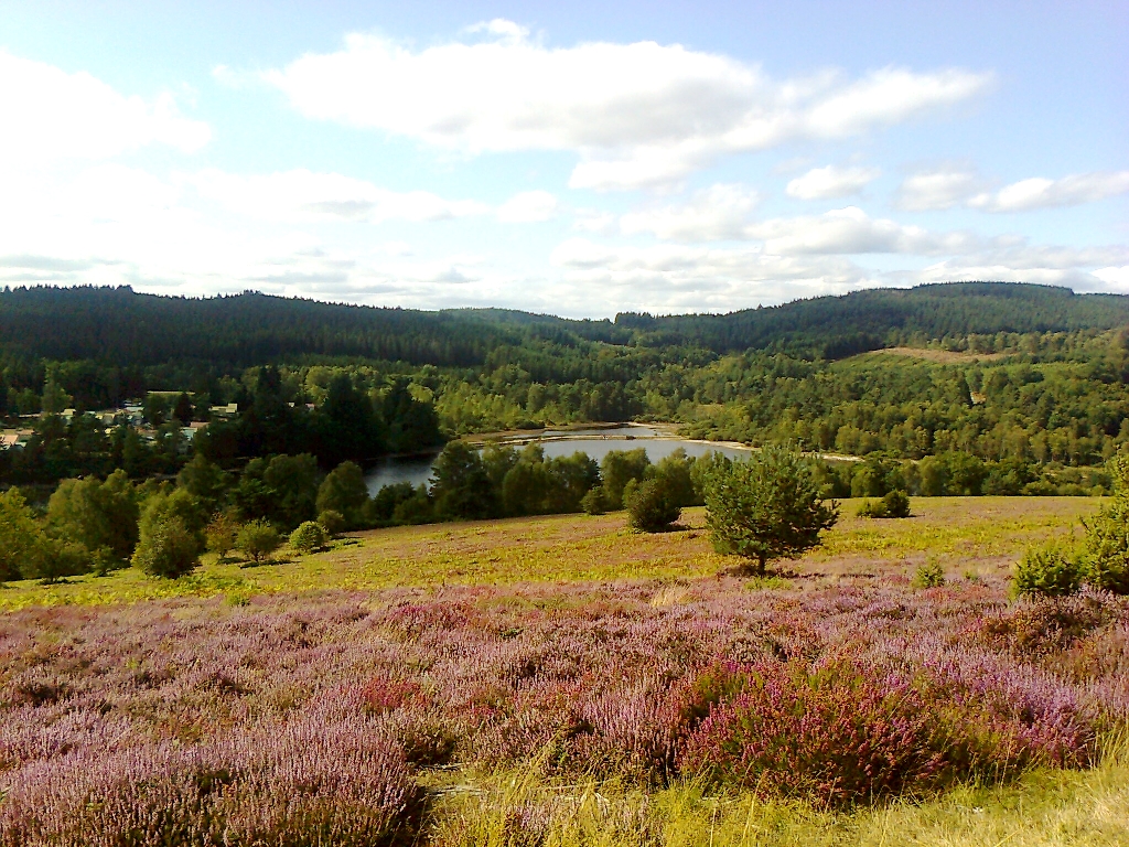 Meublé de tourisme Pasty Joëlle, Beaumont-du-Lac - photo 9