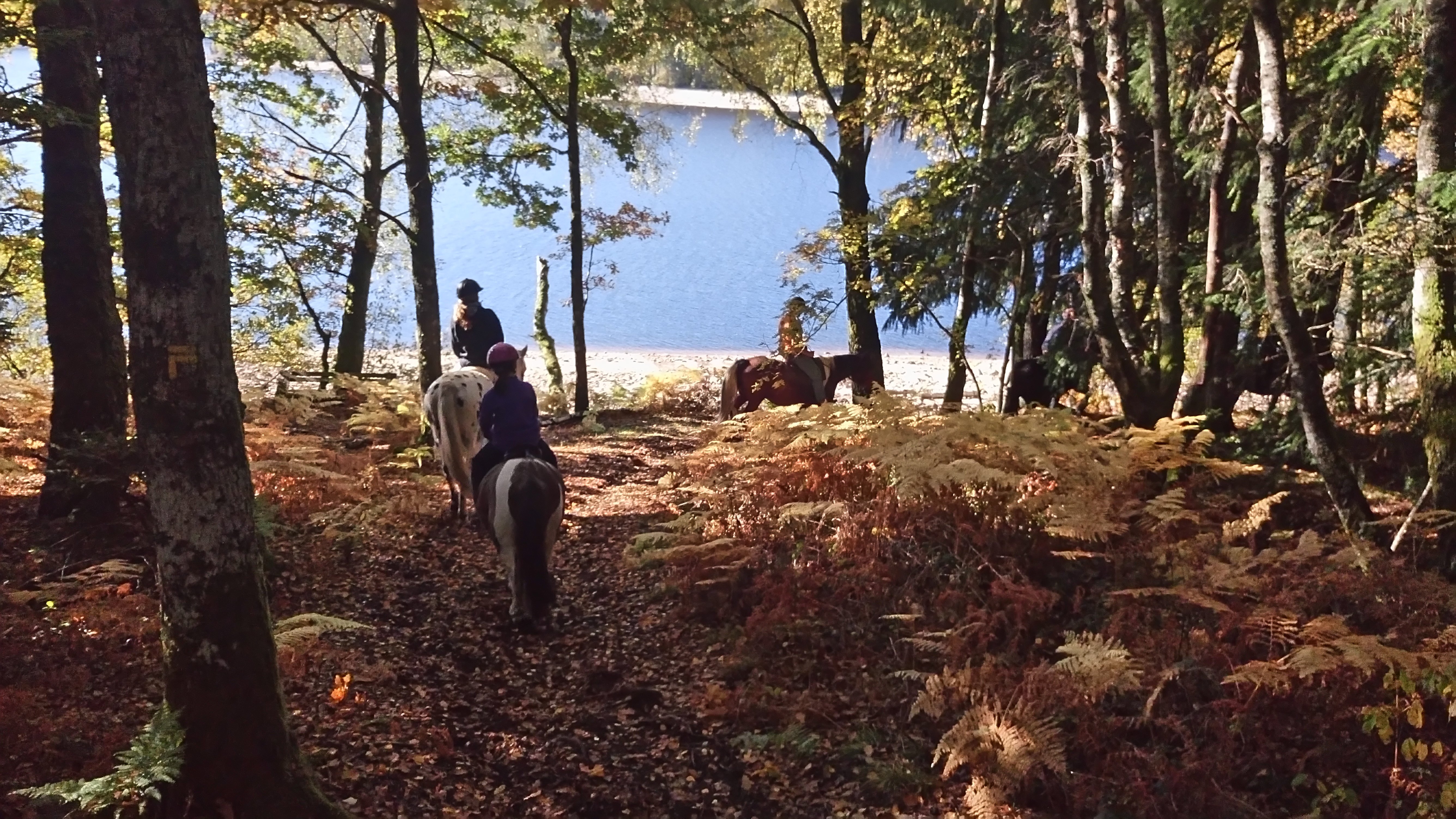 Meublé de tourisme Le Ranch de Vassivière - photo 2