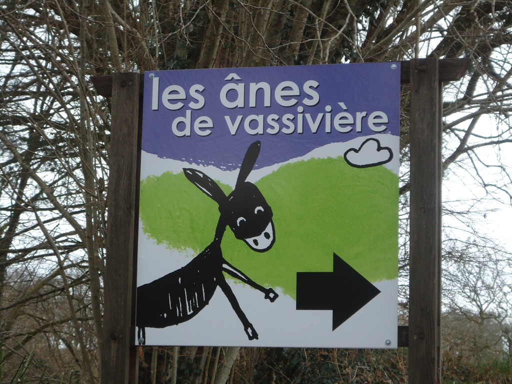 Meublé de tourisme Les Ânes de Vassivière, Peyrat-le-Château - photo 14