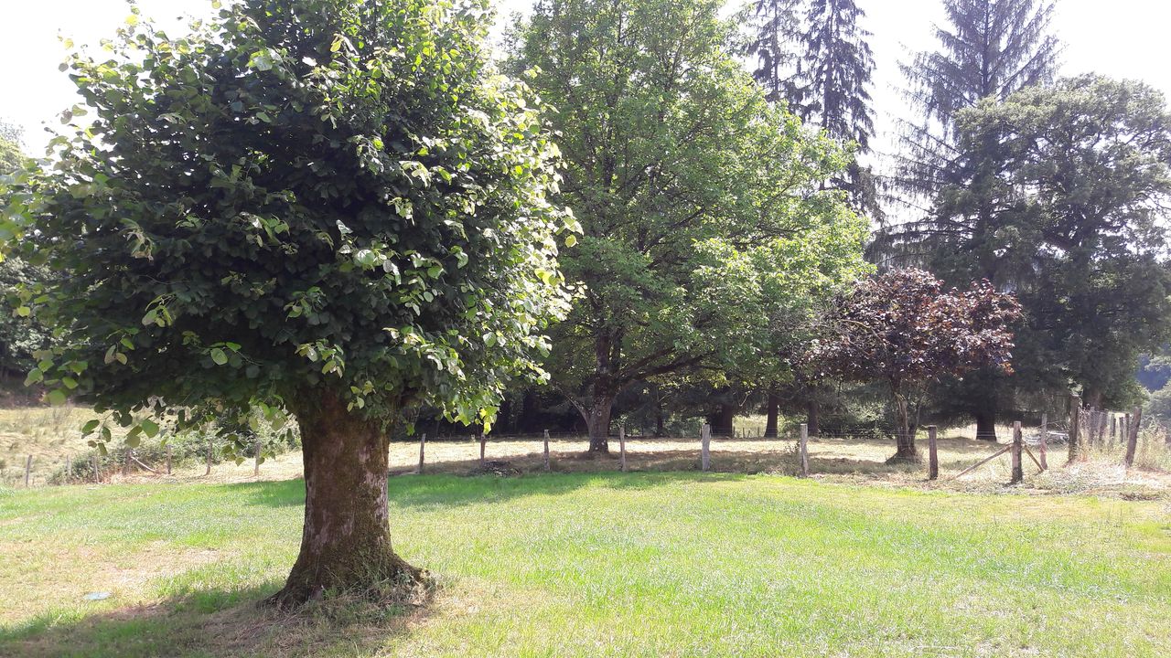 Meublé de tourisme Lenoble Monique ou Jean Francis, Nedde - photo 6