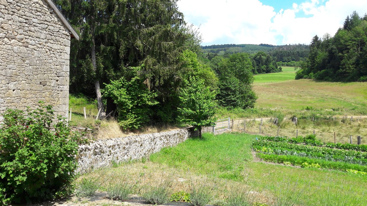 Meublé de tourisme Lenoble Monique ou Jean Francis, Nedde - photo 13