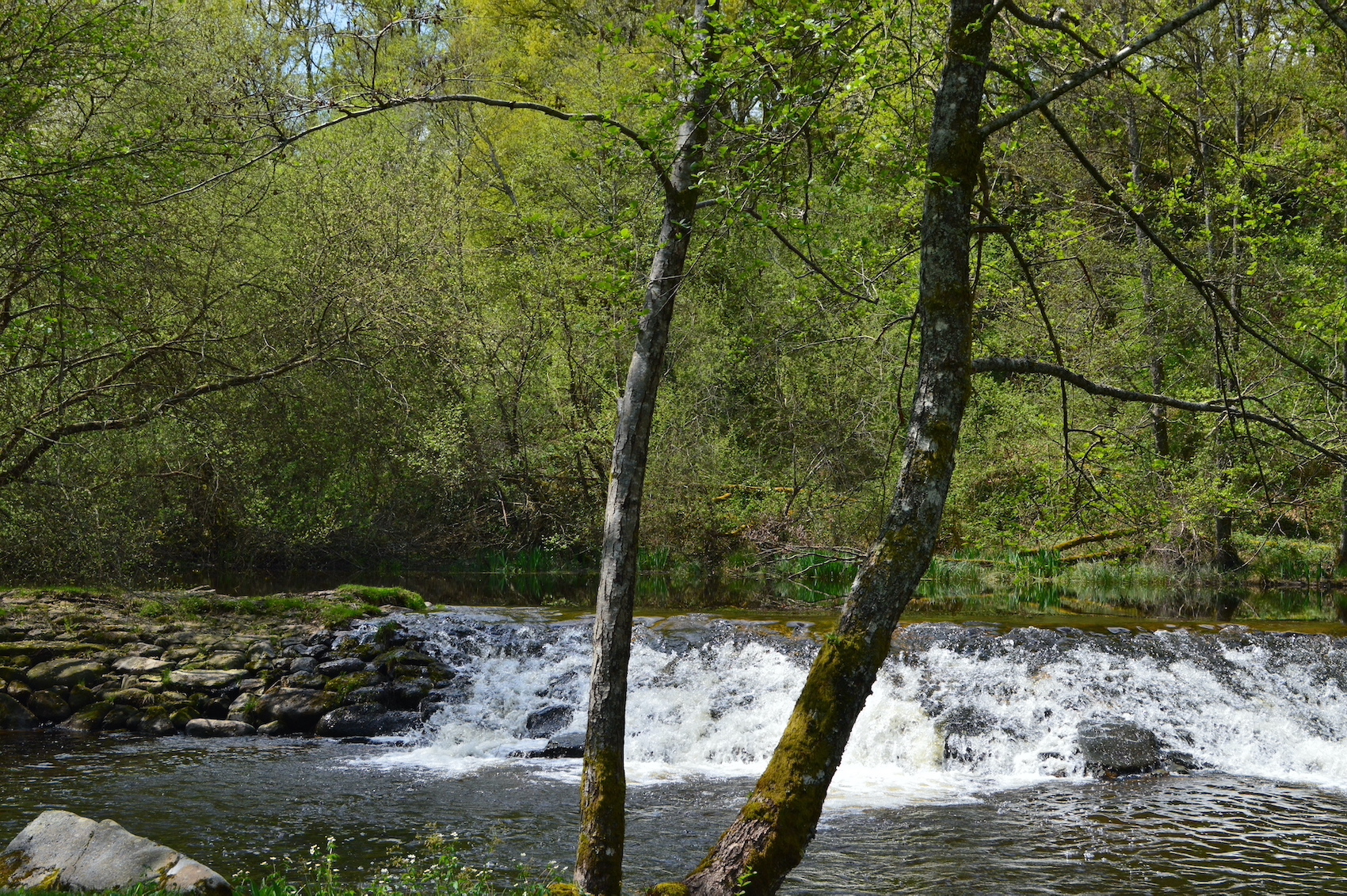 Camping municipal La Sève, Nedde - photo 7