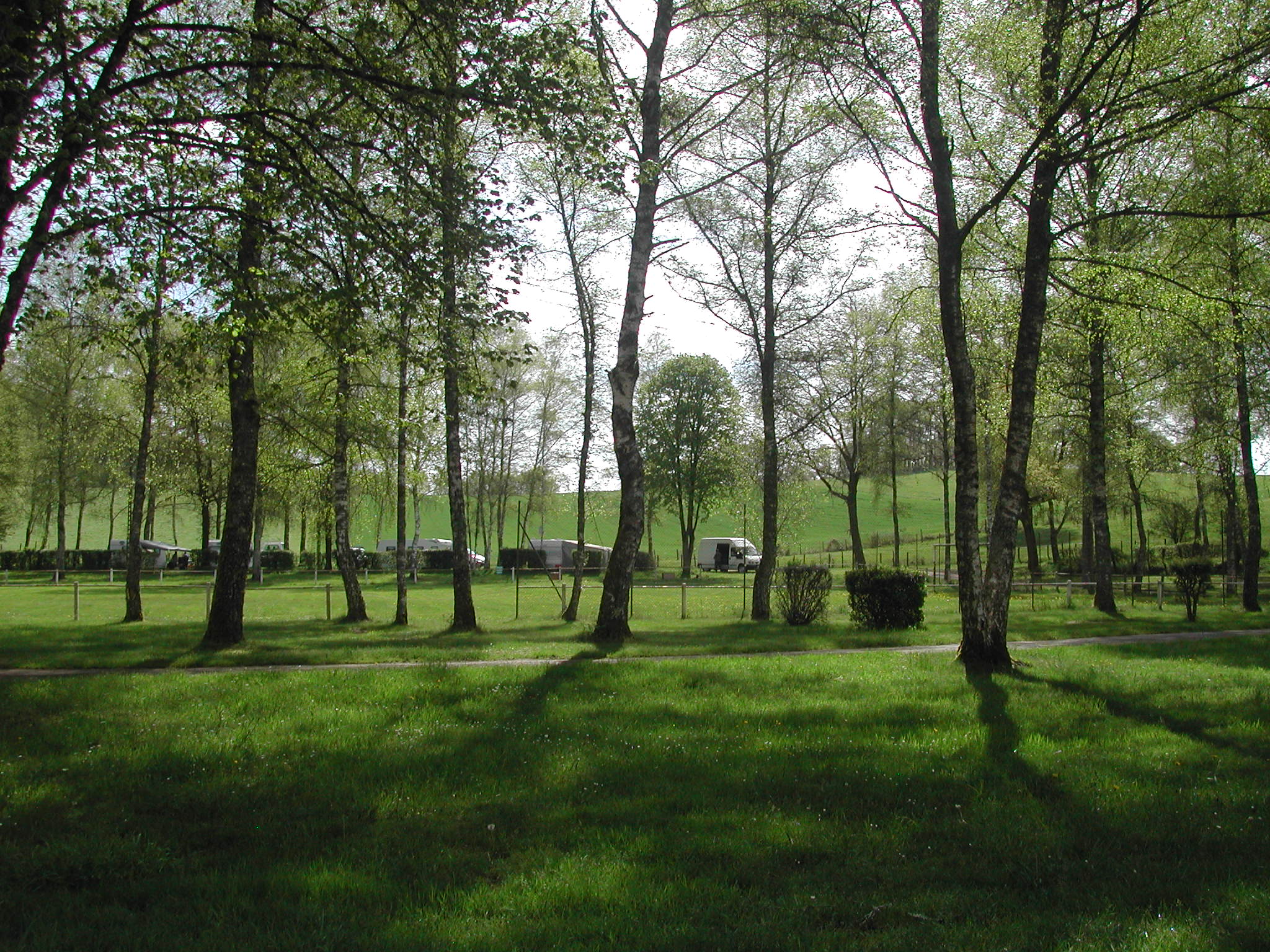 Camping municipal La Sève, Nedde - photo 8