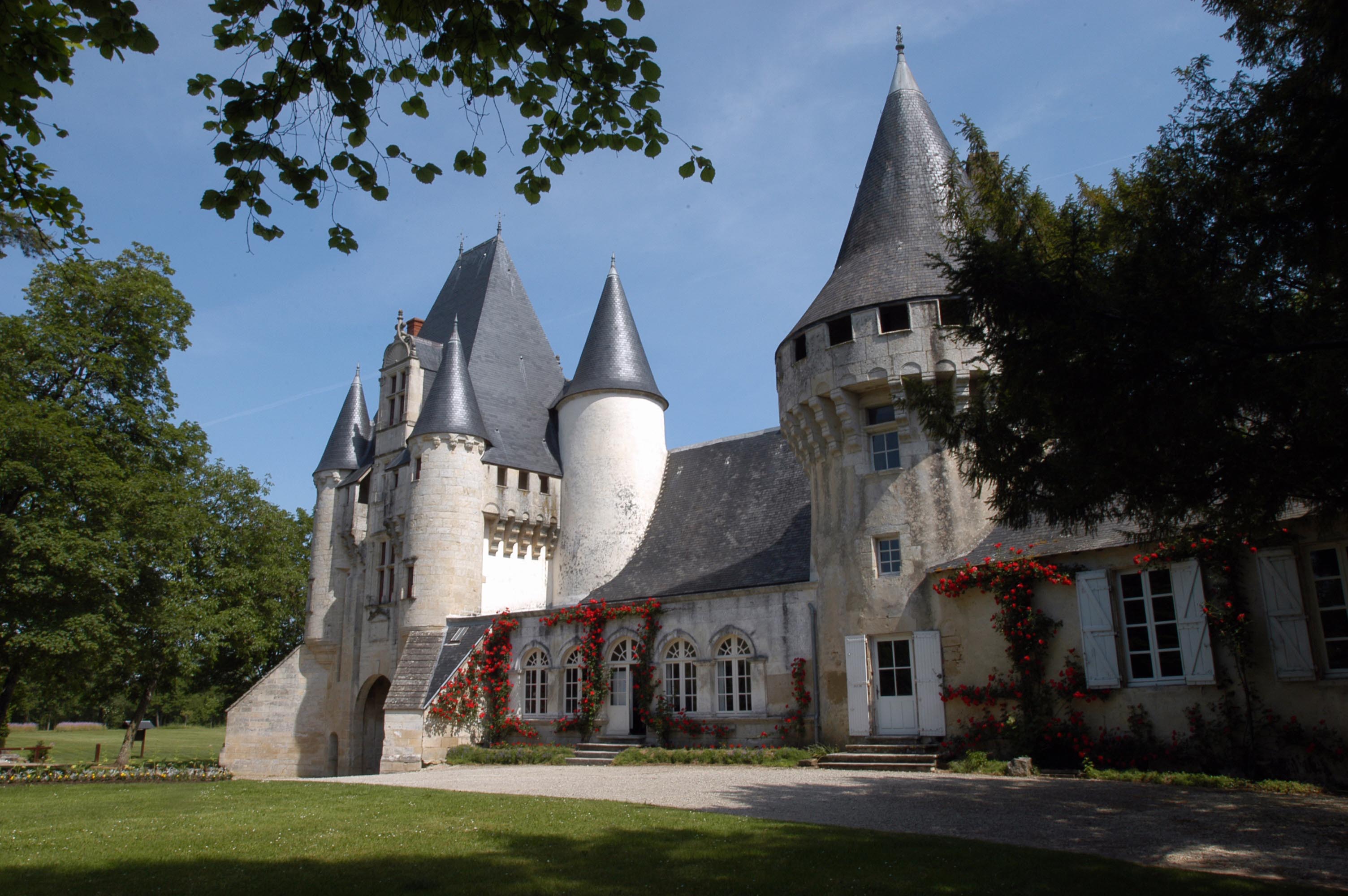 Château de Javarzay, Chef-Boutonne - photo 3