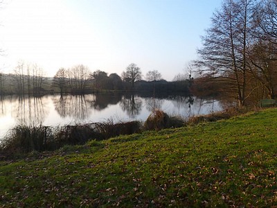 La Touche-Salboeuf, Mauléon - photo 6
