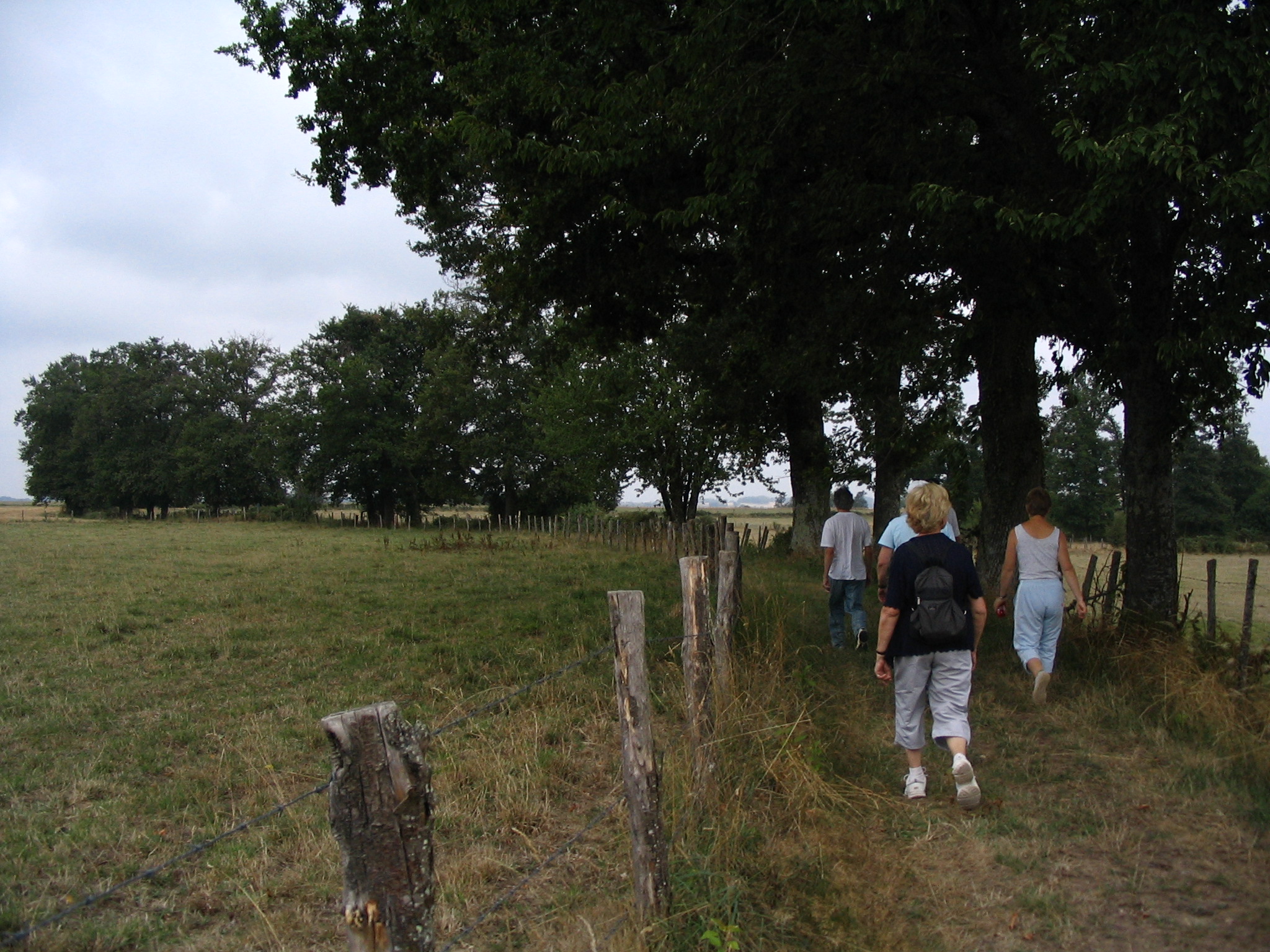 Liaison Flavignac - Les Cars