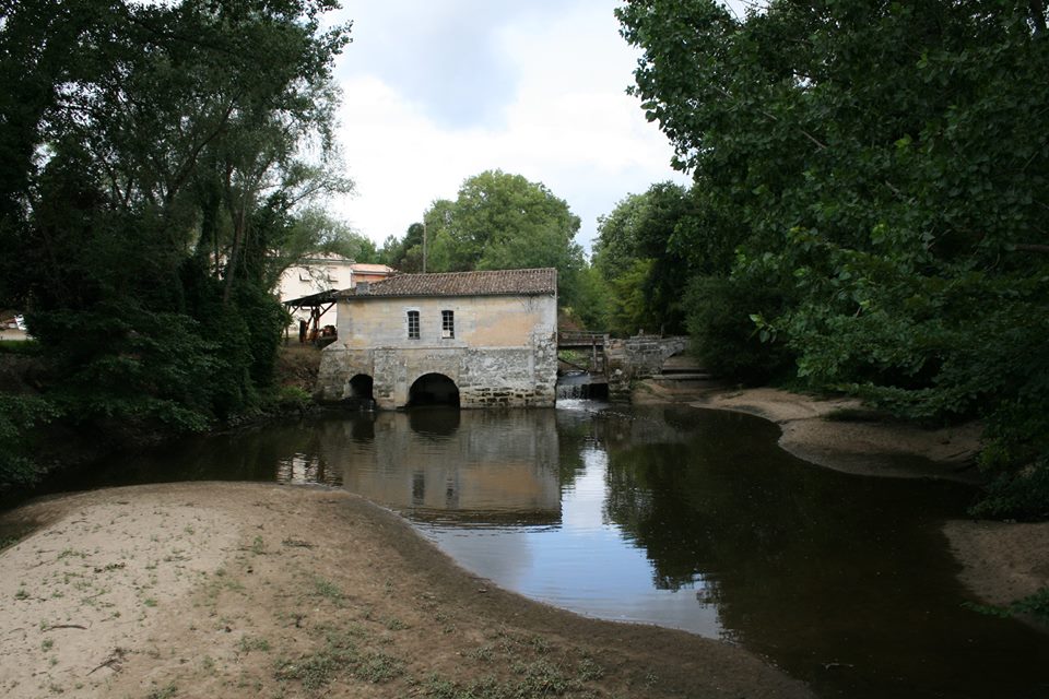 La Ronde des Vignobles en Fronsadais, Saint-Germain-de-la-Rivière - photo 7