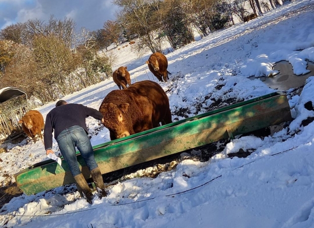 La Ferme de Muriel et Xavier — photo 3
