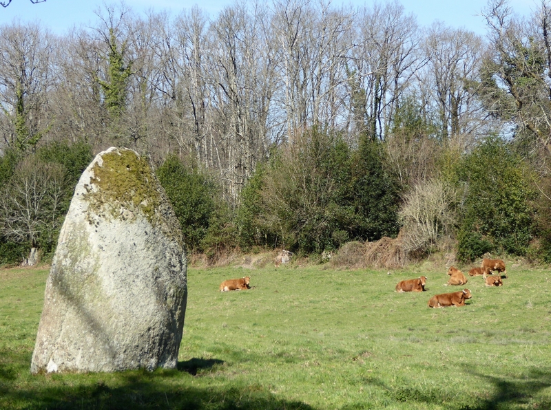 Menhir des Fichades
