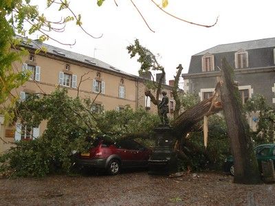 Chêne de la Liberté, Bessines-sur-Gartempe - photo 5