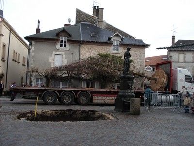 Chêne de la Liberté, Bessines-sur-Gartempe - photo 2