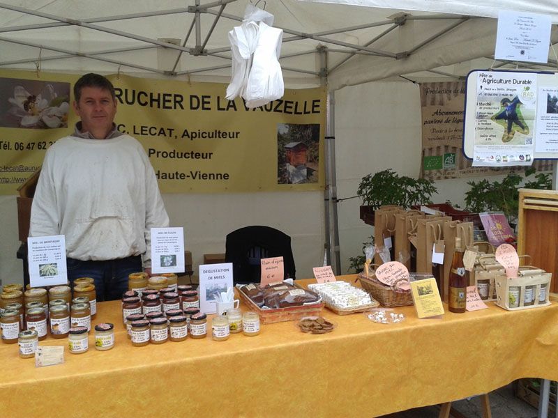 Visite et dégustation au Rucher de la Vauzelle, Compreignac - photo 3