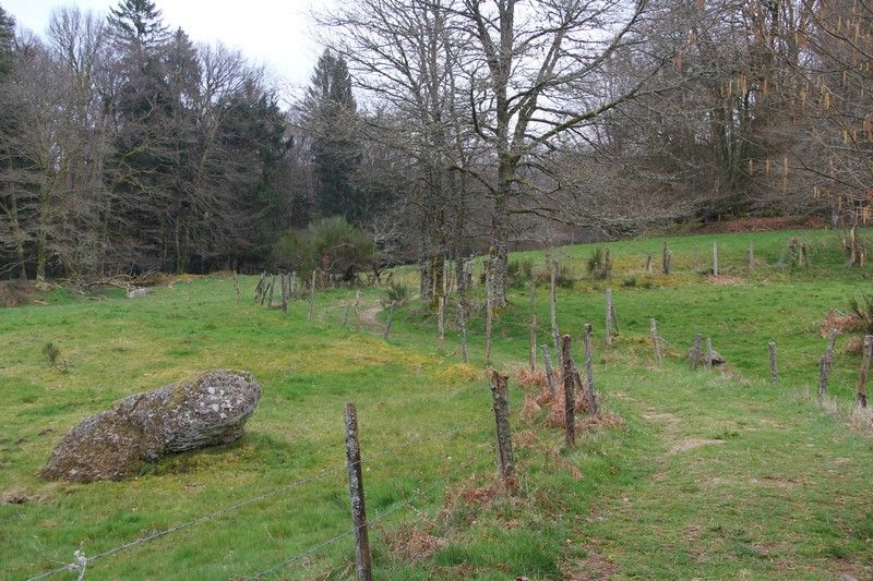 Pierre tremblante, Saint-Léger-la-Montagne - photo 2