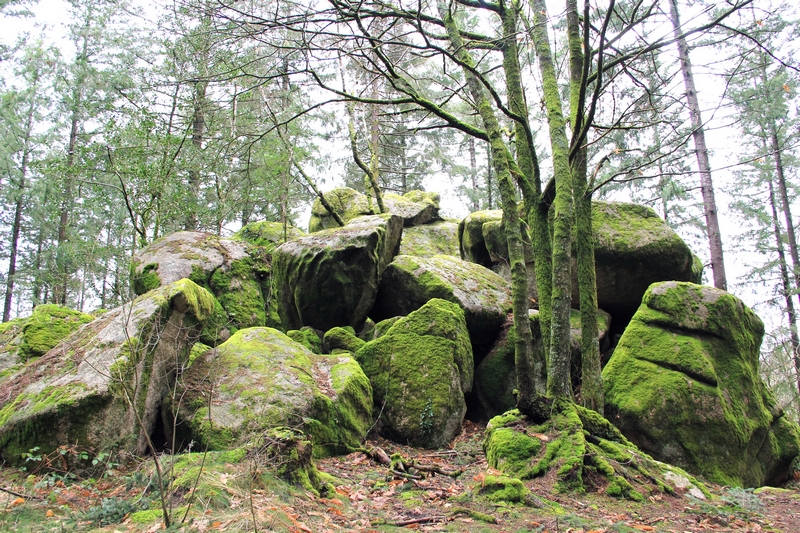 Pierre Millier, Saint-Léger-la-Montagne