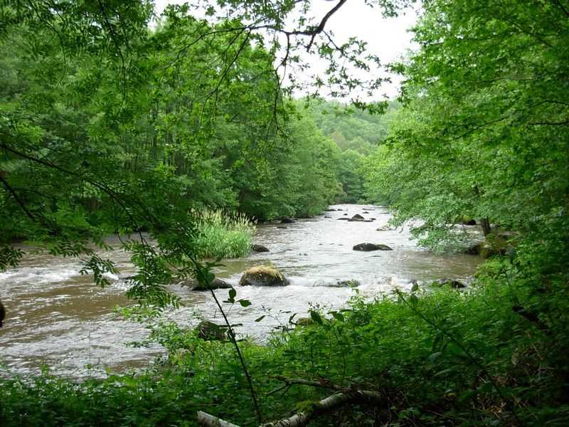 Rivière La Gartempe, Bessines-sur-Gartempe - photo 5
