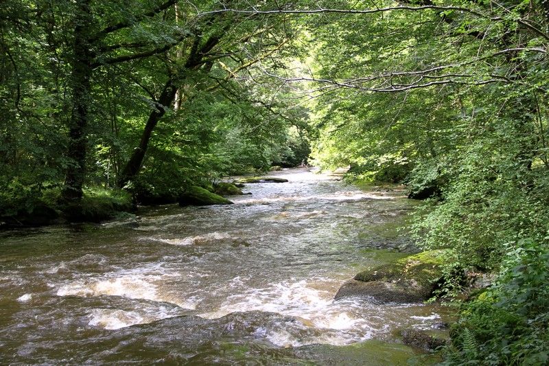 Rivière La Gartempe, Bessines-sur-Gartempe - photo 2