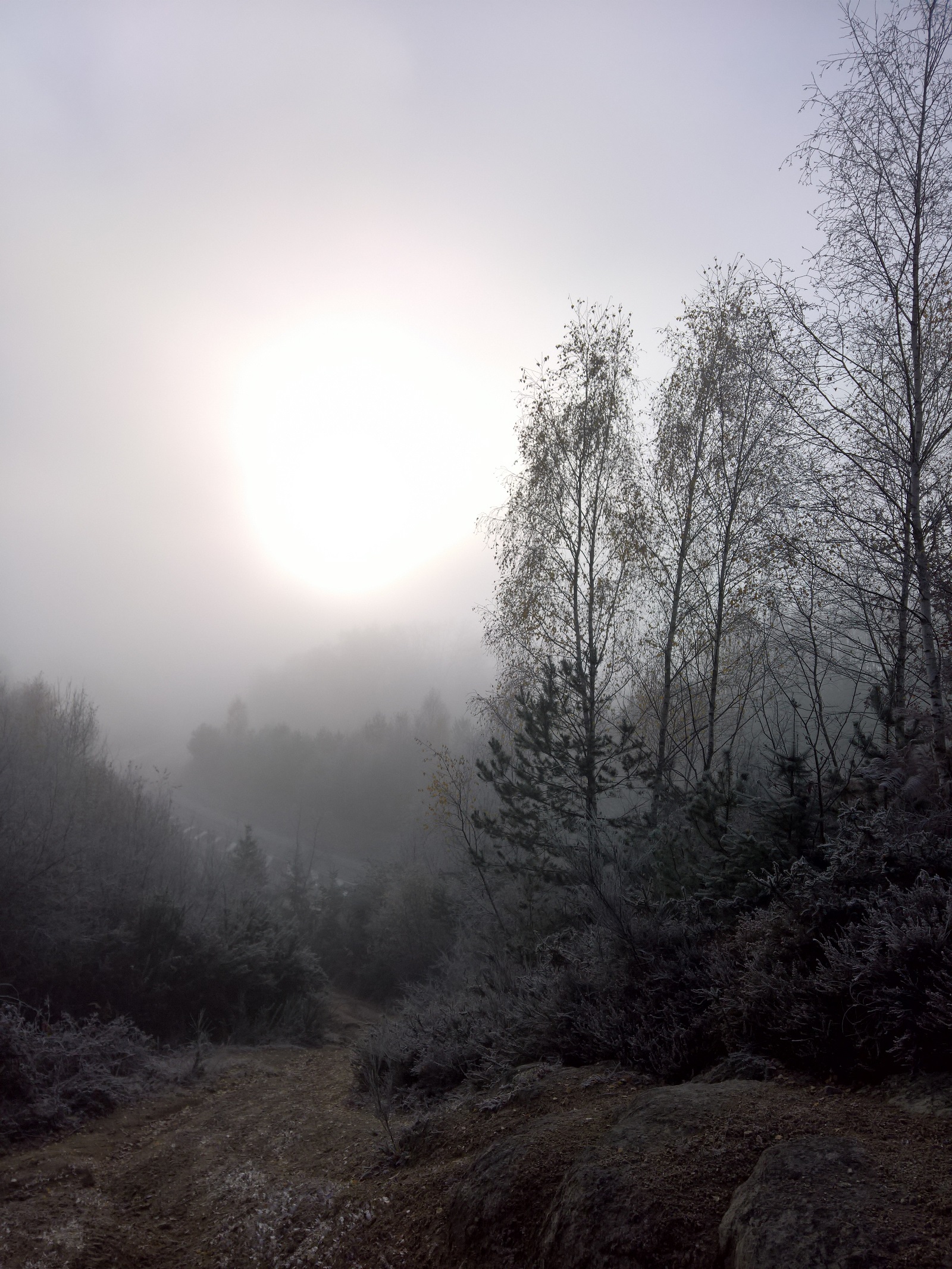 Base Uni'Vert Trail des Monts d'Ambazac - Le sentier de l'ermite — Randonnées pédestres à Haute-Vienne