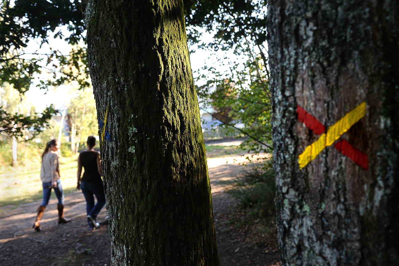 Base Uni'Vert Trail des Monts d'Ambazac - Le sentier de l'ermite - photo 2