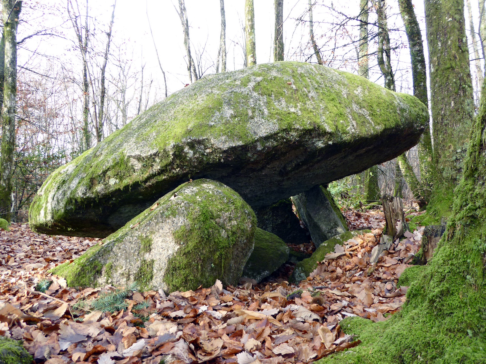 Base Uni'Vert Trail des Monts d'Ambazac - Le sentier du dolmen, Ambazac - photo 3