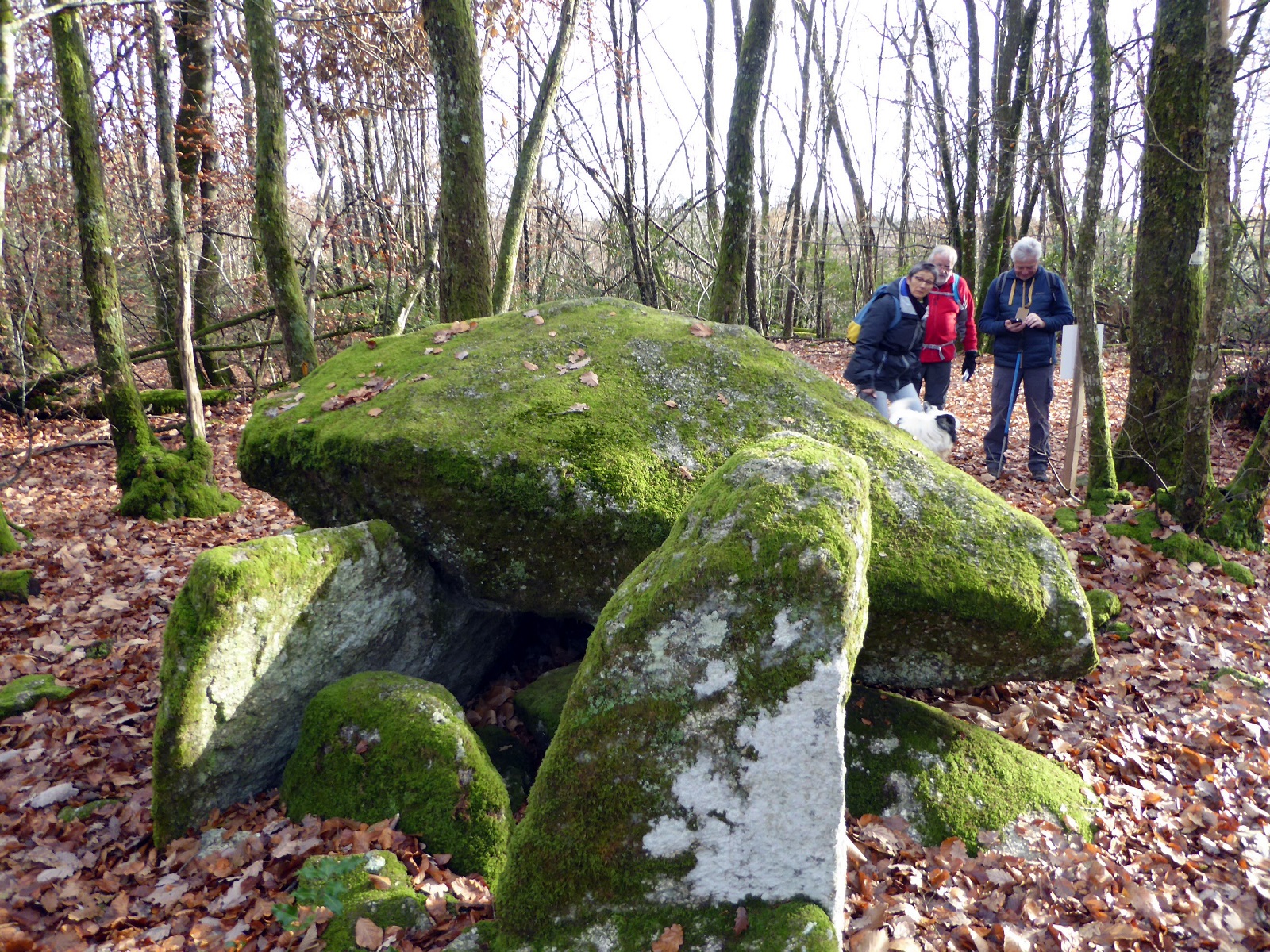 Base Uni'Vert Trail des Monts d'Ambazac - Le sentier du dolmen, Ambazac