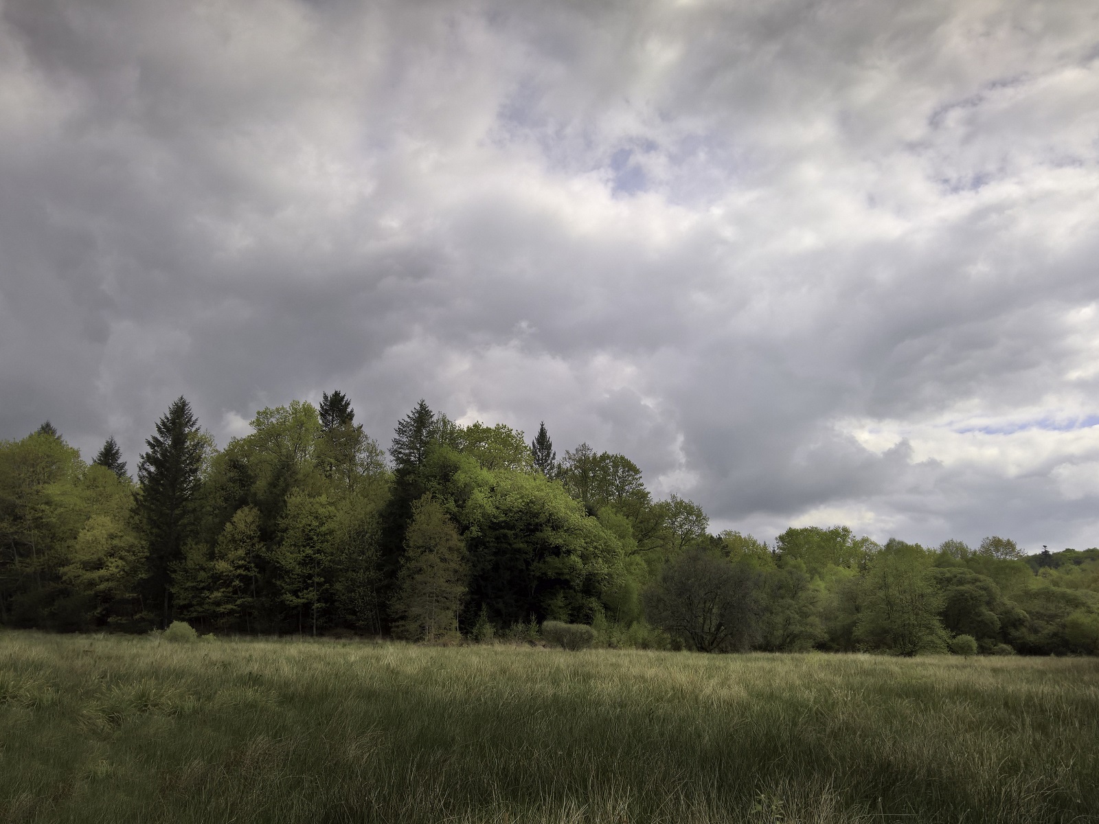 Base Uni'Vert Trail des Monts d'Ambazac - Le sentier des Puys — Randonnées pédestres à Haute-Vienne