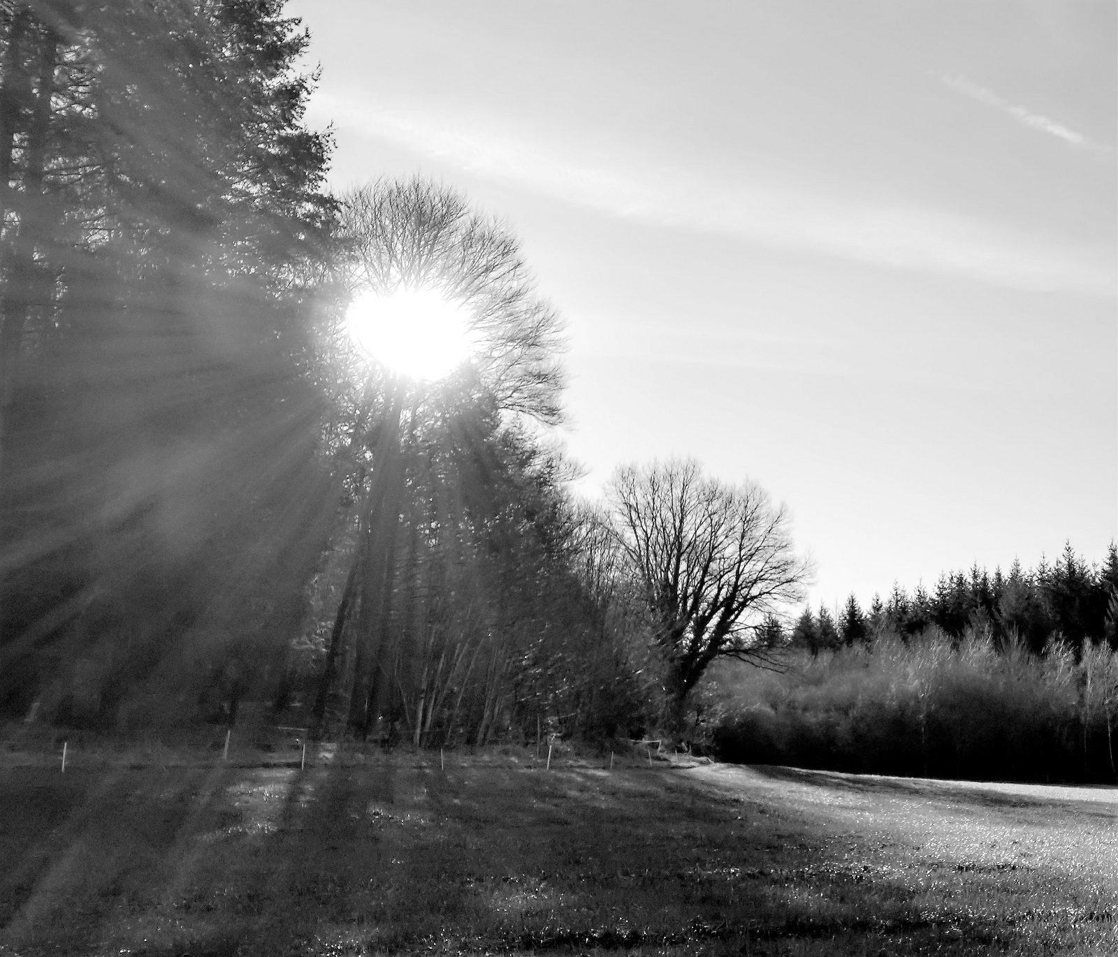 Base Uni'Vert Trail des Monts d'Ambazac - Le sentier des bonshommes — Randonnées pédestres à Haute-Vienne
