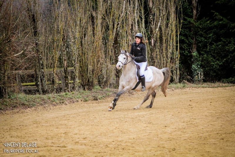 Centre équestre - Haras de Valdor — photo 3