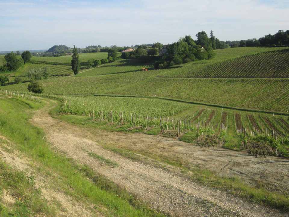 La Ronde des Vignobles en Fronsadais, Saint-Germain-de-la-Rivière - photo 8