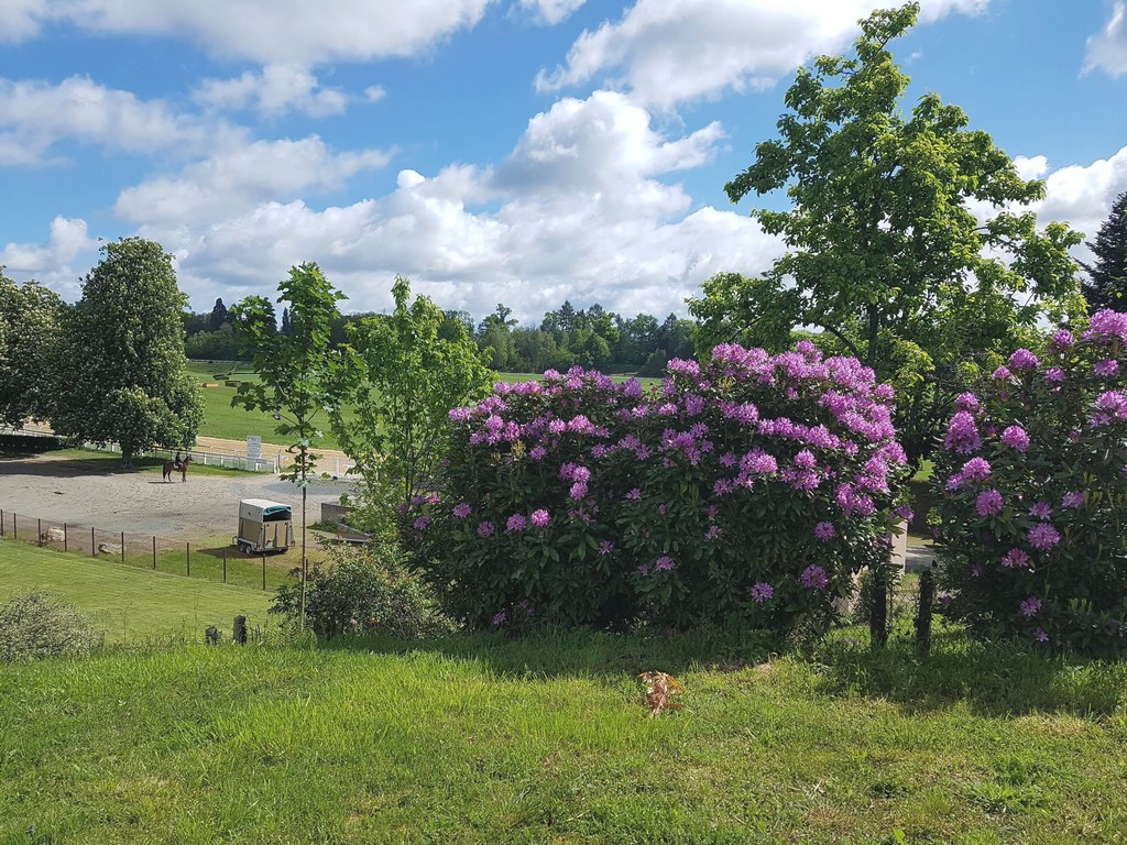 L'Oiseau Bleu, Saint-Sornin-Lavolps - photo 3