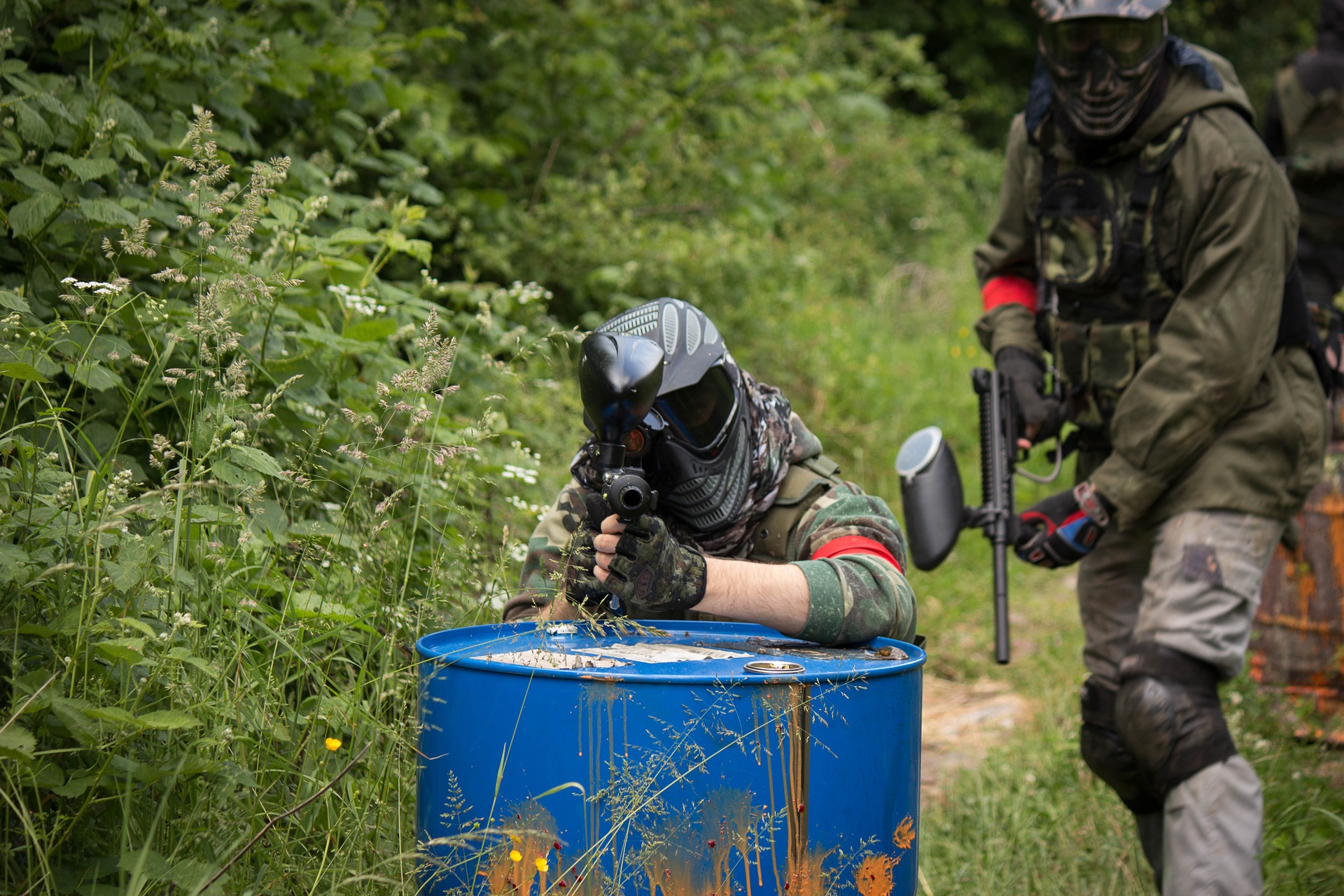 Limousin Paintball